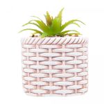 Cachepot-de-Ceramica-com-Suculenta-Rattan-75cm-x-75cm-X-95cm-Wolff