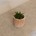 Cachepot-de-Ceramica-com-Suculenta-Rattan-75cm-x-75cm-X-95cm-Wolff