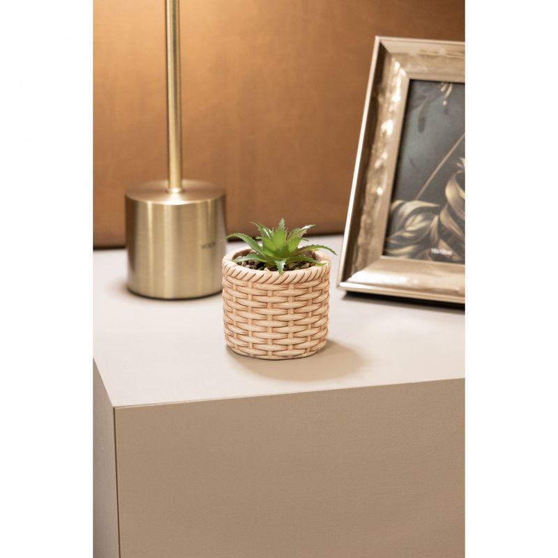 Cachepot-de-Ceramica-com-Suculenta-Rattan-75cm-x-75cm-X-95cm-Wolff