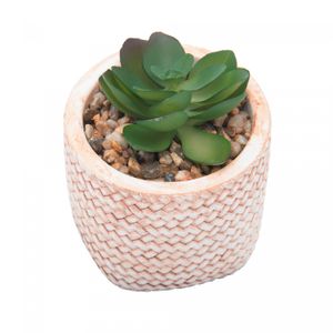 Cachepot de Cerâmica com Suculenta Trançado 7,5cm x 7,5cm X 9,5cm - Wolff