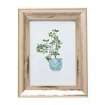 Porta-Retrato-Nobreza-10cm-x-15cm-Dourado-Poliestireno-Wolff