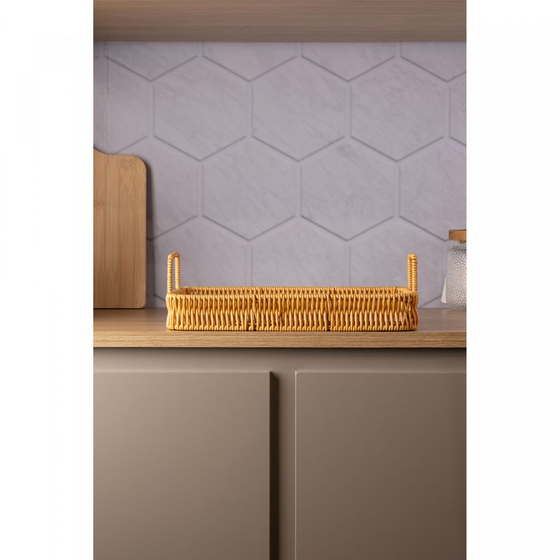 Bandeja-Retangular-com-Alca-Kali-30cm-x-20cm-x-45cm-Plastico-Lyor