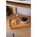 Bandeja-Retangular-com-Alca-Kali-35cm-x-25cm-x-45cm-Plastico-Lyor