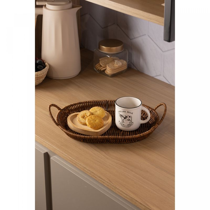 Cesta-Oval-com-Alca-Rattan-29cm-x-22cm-x-75cm-Plastico-Lyor