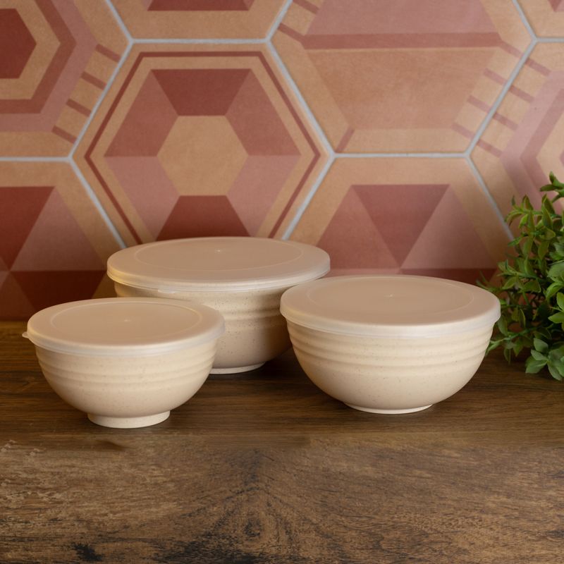 Conjunto-3-Bowls-de-Bambu-e-PP-Lines-Sortido-Lyor