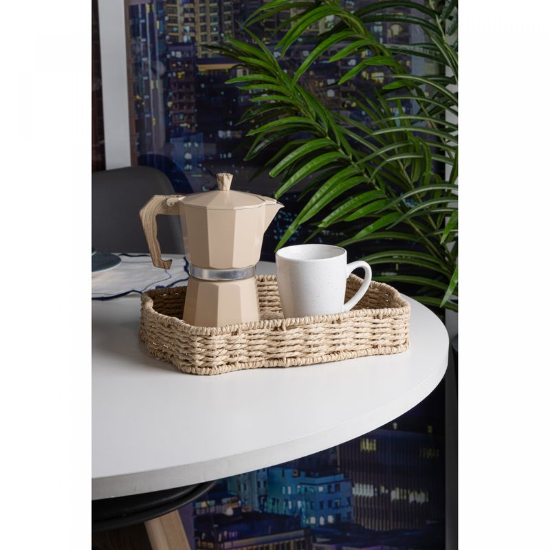 Bandeja-Daisy-30cm-x-22cm-x-5cm-Papel-Wolff